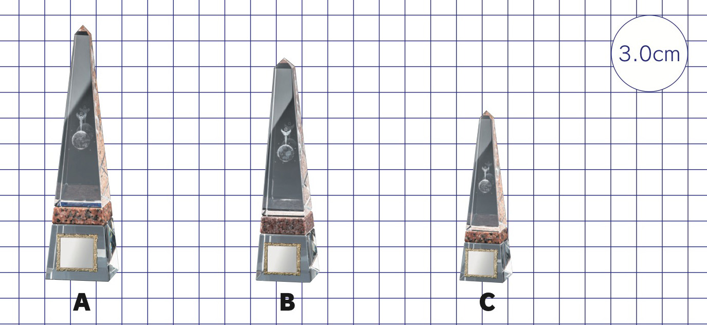 VT.3110の画像