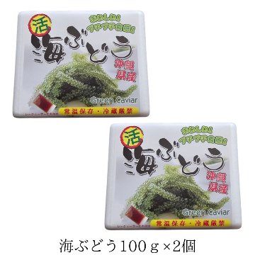 海ぶどう 100g×2個セット みやぎ商店 沖縄 生海ぶどう 通販の画像