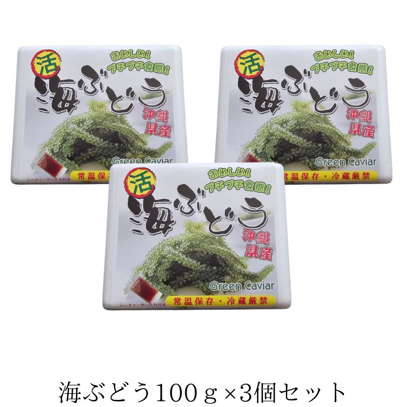 海ぶどう 100g×3個セット みやぎ商店 沖縄 生海ぶどう 通販  送料無料の画像