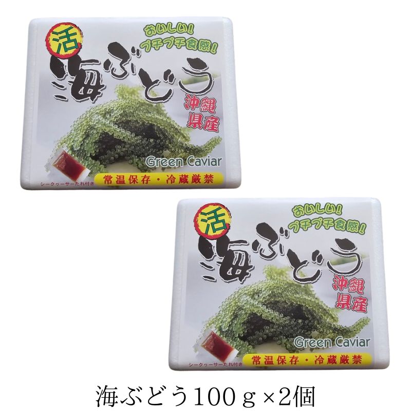 海ぶどう 100g×2個セット みやぎ商店 沖縄 生海ぶどう 通販の画像