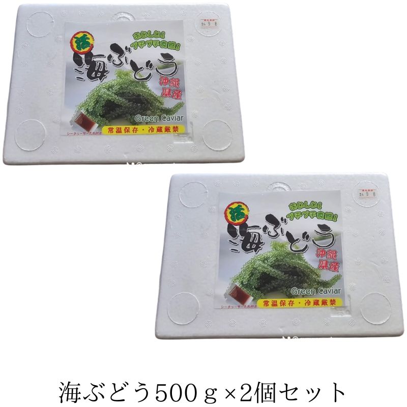 業務用 海ぶどう 500g×2個セット みやぎ商店 沖縄 生海ぶどう 通販 送料無料の画像