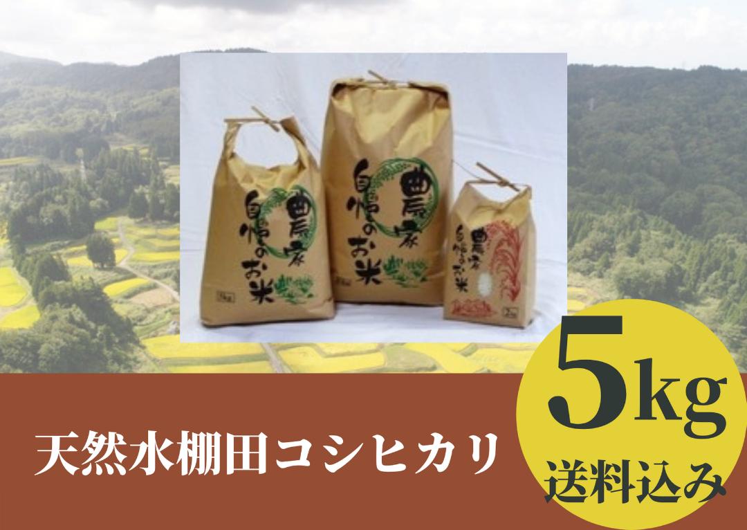 棚田で育てた絶品コシヒカリ「天然水棚田コシヒカリ」5Kg（送料込み、北海道、九州、沖縄）の画像