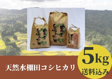 棚田で育てた絶品コシヒカリ「天然水棚田コシヒカリ」5Kg（送料込み、北海道、九州、沖縄）の画像