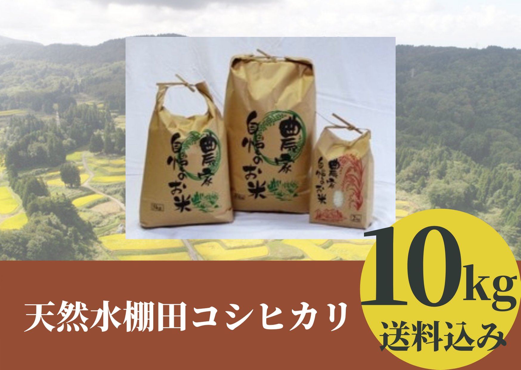 棚田で育てた絶品コシヒカリ「天然水棚田コシヒカリ」10Kg（送料込み、北海道、九州、沖縄へお届け）の画像