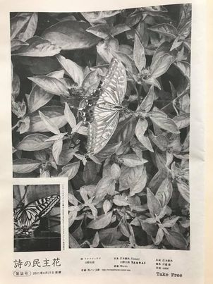 詩の民主花　第七号の画像
