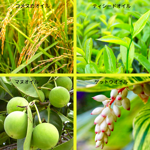 キューティクルケラピーの画像
