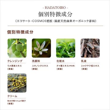 HADATOIRO モイスト リッチクリーム 50gの画像