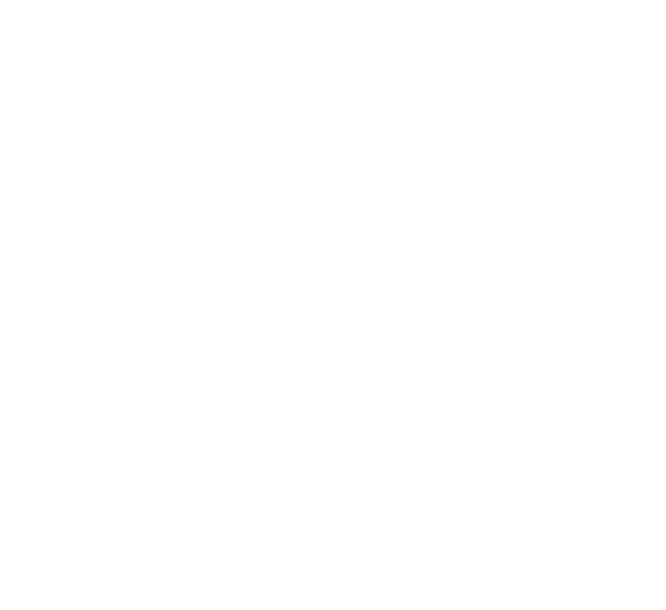 SHINICHIRO ARAKAWA × MOGI コラボモデル