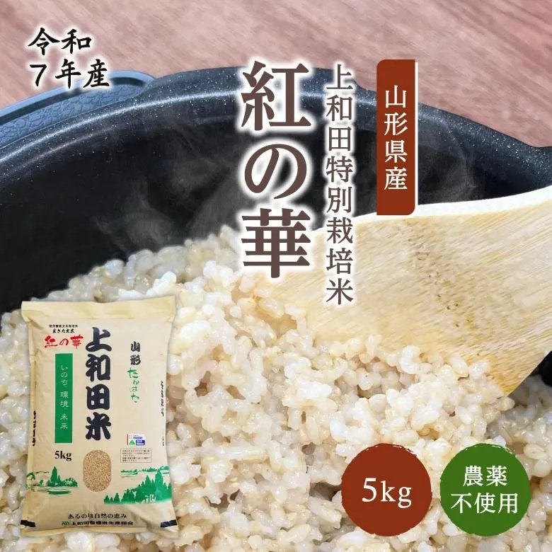 【令和7年産新米】紅の華5kg（農薬不使用コシヒカリ玄米）の画像