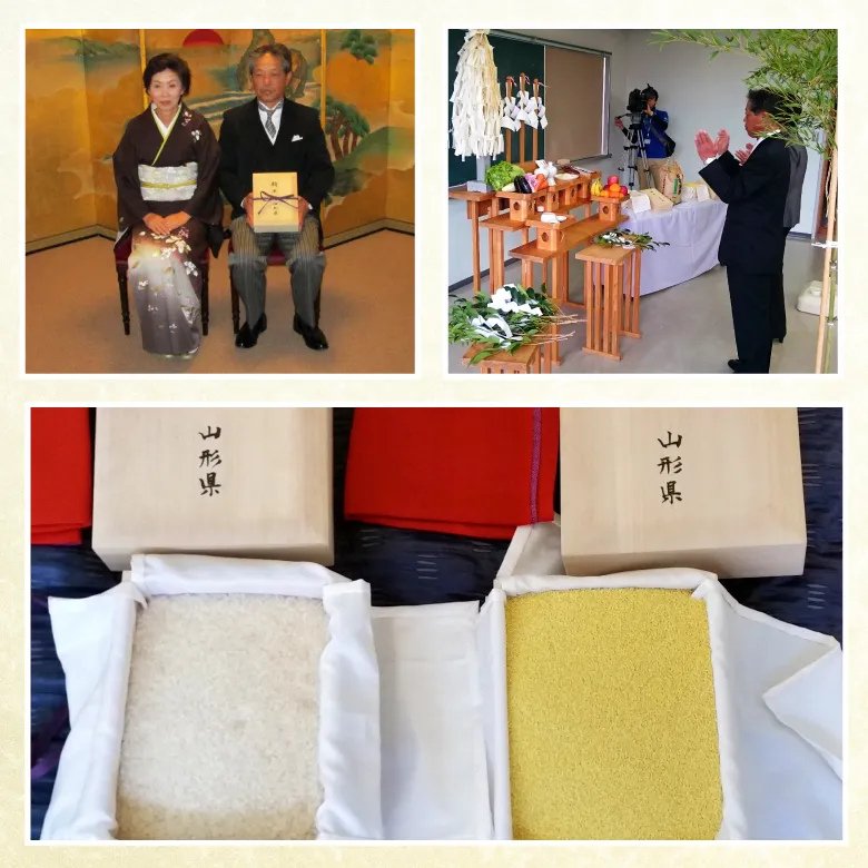 【令和7年産新米】紅の華5kg（農薬不使用コシヒカリ玄米）の画像
