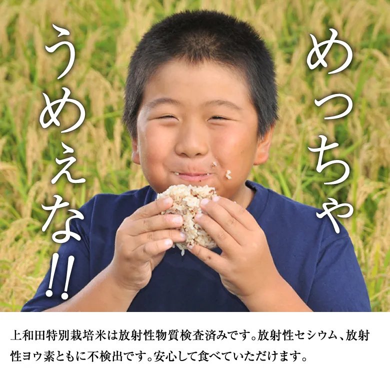 【令和7年産新米】紅の華5kg（農薬不使用コシヒカリ玄米）の画像