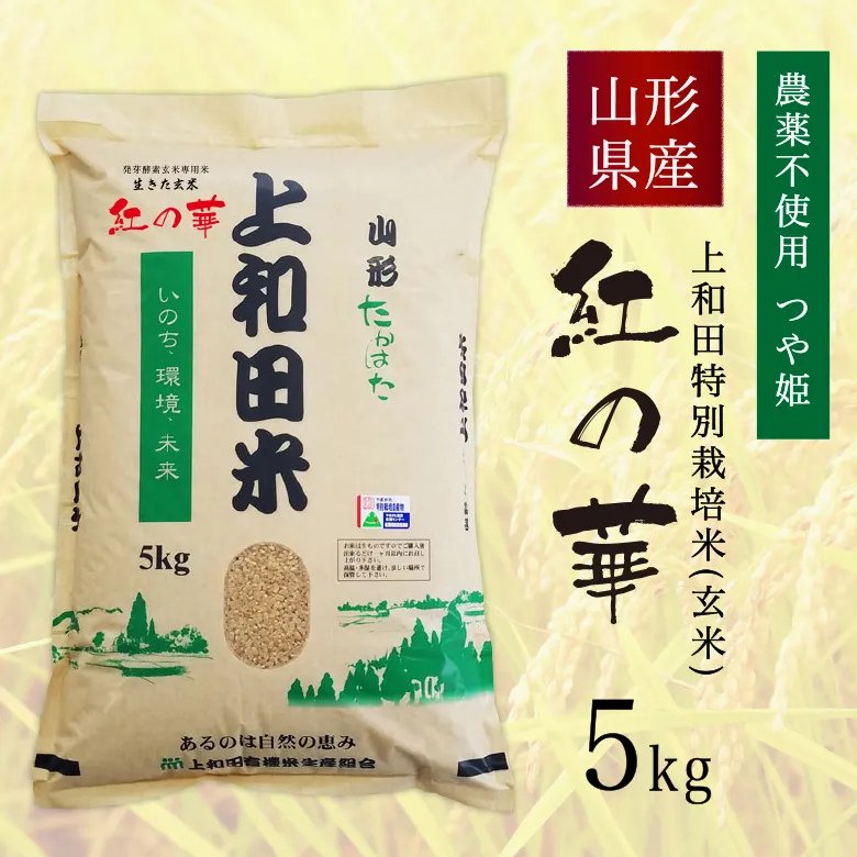 【令和7年産新米】紅の華5kg（農薬不使用コシヒカリ玄米）の画像