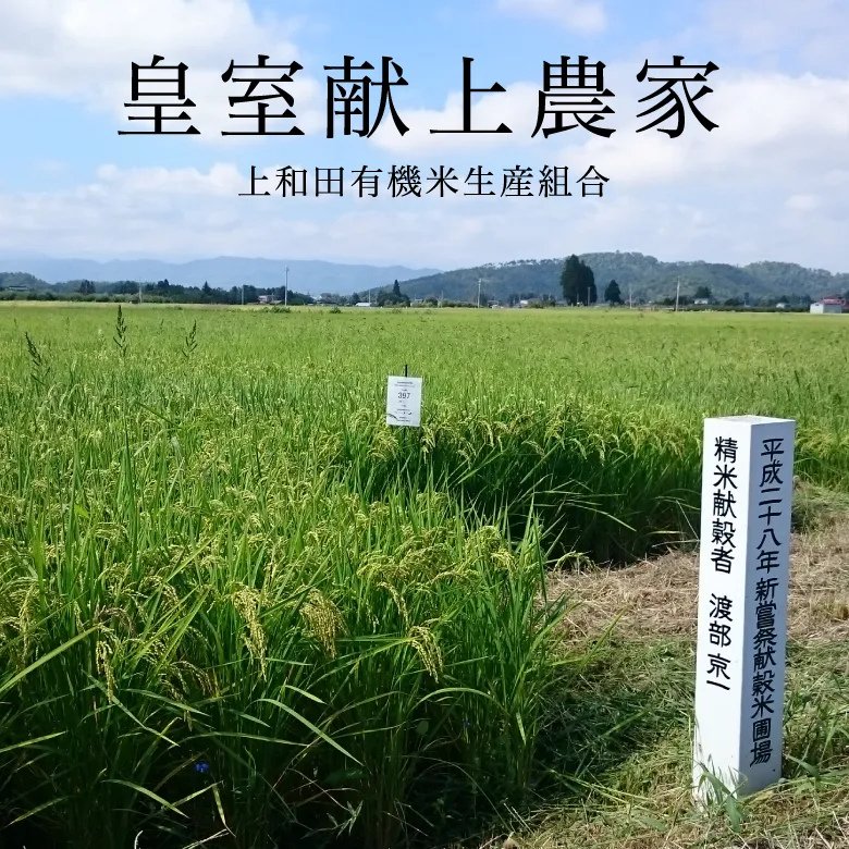 【令和7年産新米】紅の華5kg（農薬不使用コシヒカリ玄米）の画像