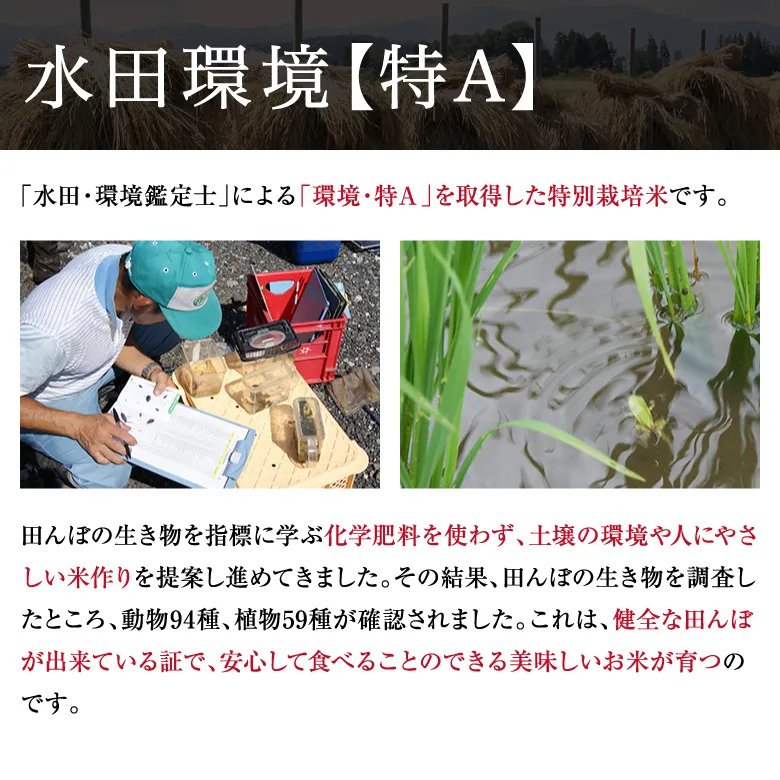 【令和7年産新米】紅の華5kg（農薬不使用コシヒカリ玄米）の画像