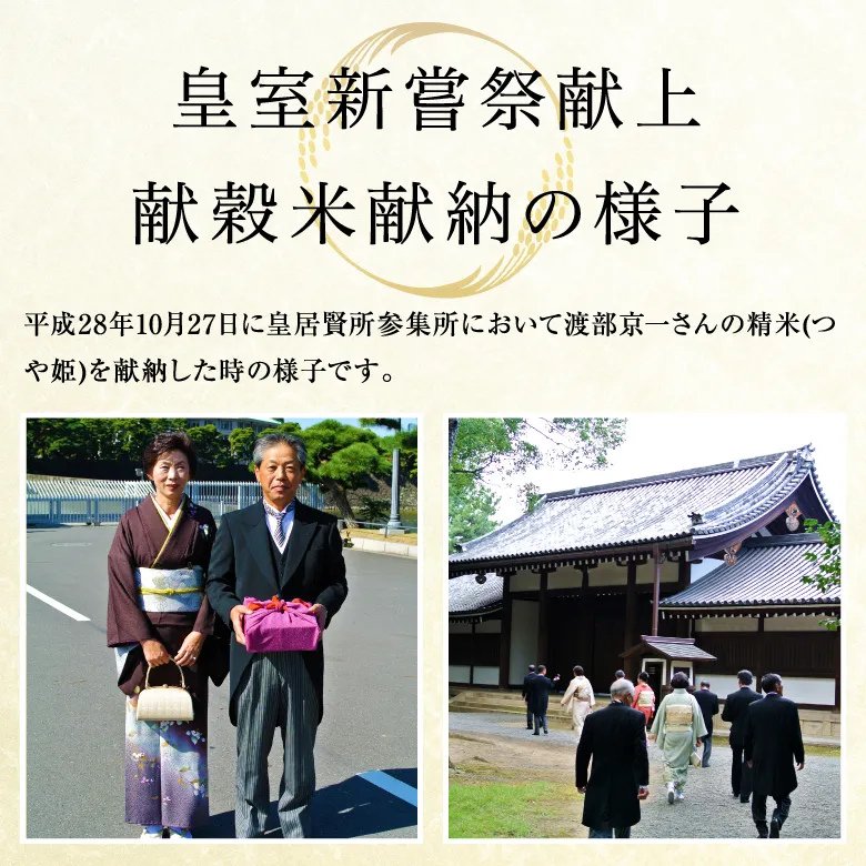 【令和7年産新米】紅の華5kg（農薬不使用コシヒカリ玄米）の画像