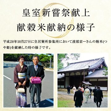 【令和7年産新米】紅の華5kg（農薬不使用コシヒカリ玄米）の画像