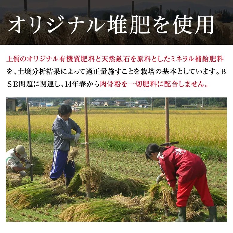 【令和7年産新米】紅の華3kg（農薬不使用コシヒカリ玄米）の画像