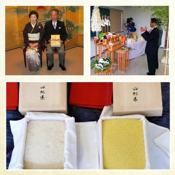 【令和7年産新米】紅の華3kg（農薬不使用コシヒカリ玄米）の画像