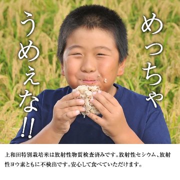 【令和7年産新米】紅の華3kg（農薬不使用コシヒカリ玄米）の画像