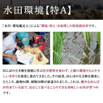 【令和7年産新米】紅の華3kg（農薬不使用コシヒカリ玄米）の画像