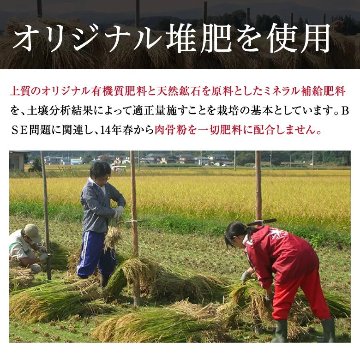 【令和7年産新米】紅の華3kg（農薬不使用コシヒカリ玄米）の画像