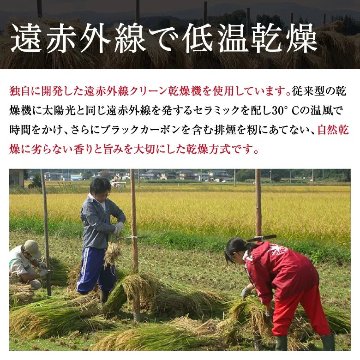 【令和7年産新米】紅の華3kg（農薬不使用コシヒカリ玄米）の画像