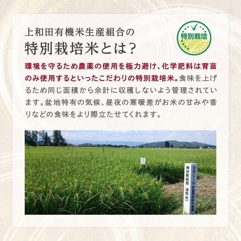【令和7年産新米】コシヒカリ玄米5kg（減農薬特別栽培米）の画像