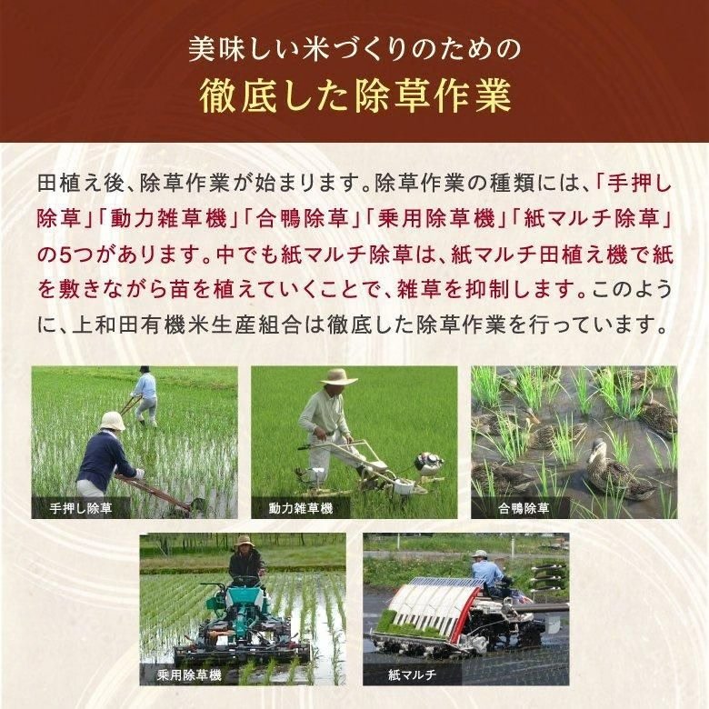 【令和7年産新米】コシヒカリ玄米5kg（減農薬特別栽培米）の画像