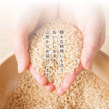 【令和7年産新米】コシヒカリ玄米5kg（減農薬特別栽培米）の画像