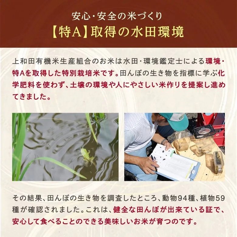 【令和7年産新米】コシヒカリ白米5kg（減農薬特別栽培米）の画像