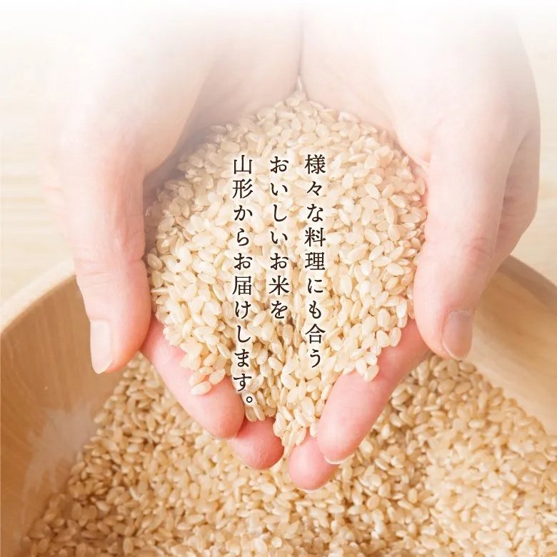 【令和7年産新米】コシヒカリ白米5kg（減農薬特別栽培米）の画像