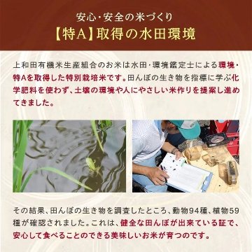 【令和7年産新米】コシヒカリ白米5kg（減農薬特別栽培米）の画像