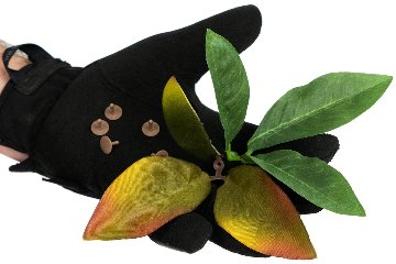 Leaf Camo – LC3 １枚売りの画像