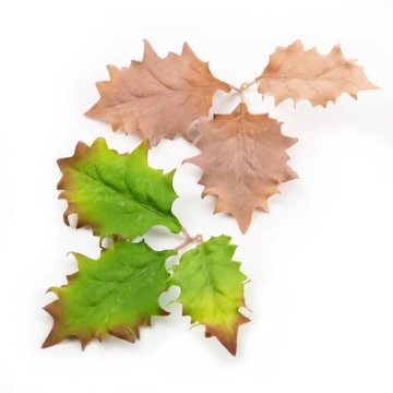 Leaf Camo – LC5　１枚売りの画像