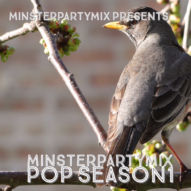 Minsterpartymix Pop Season1の画像