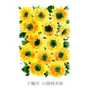 梅雨を乗り切る酒・・6/10発売　　　　　　　　　　　　　　　　　日輪田　山廃純米酒　夏酒　ひまわりラベルの画像