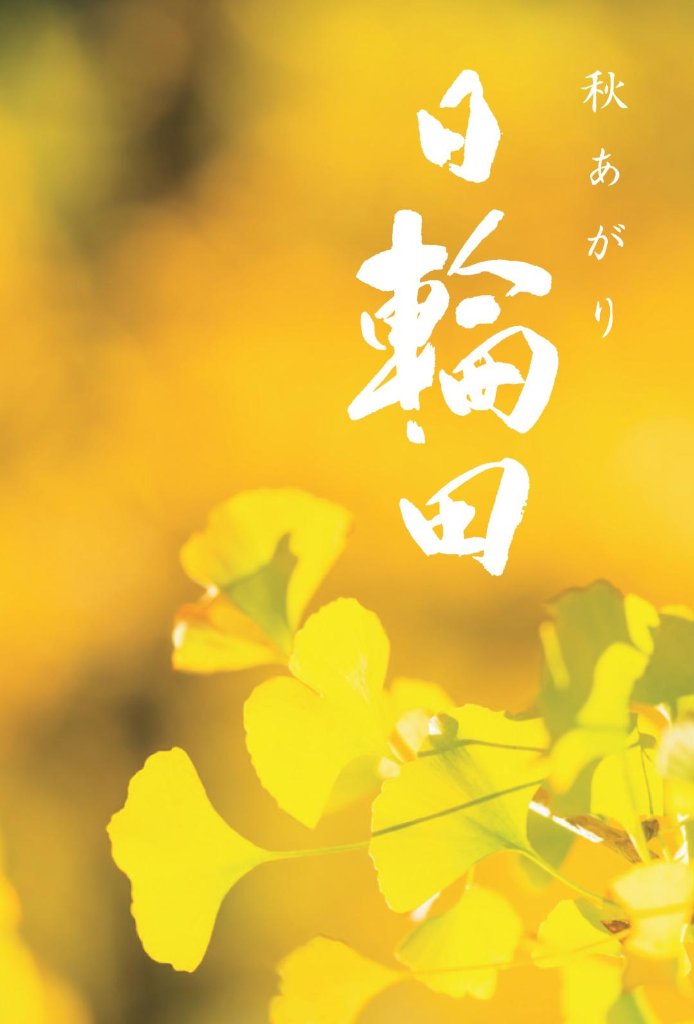 日輪田ファン待望  日輪田 生酛純米酒 秋あがり (ひやおろし)「いちょう」 季節限定の画像