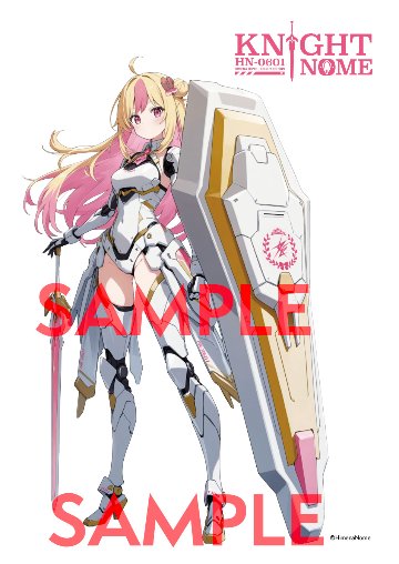 KNIGHT NOME A2パネル（アルミフレーム加工）※送料込の画像