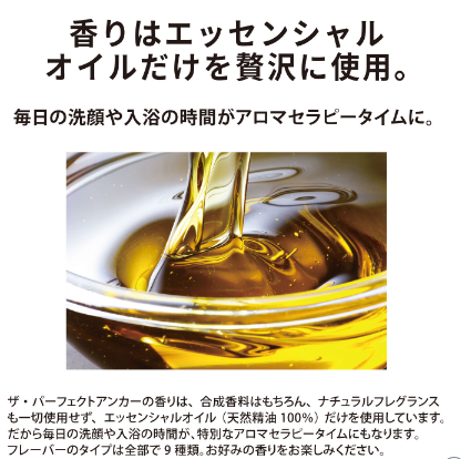 ザ・パーフェクトアンカーの画像