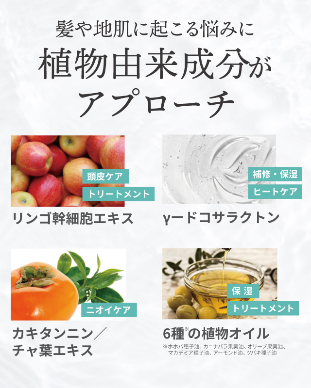 haidisp(ハイディスプ)　スパークリングシャンプー　ホワイトティの香りの画像