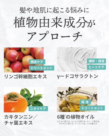 haidisp(ハイディスプ)　スパークリングシャンプー　ホワイトティの香りの画像