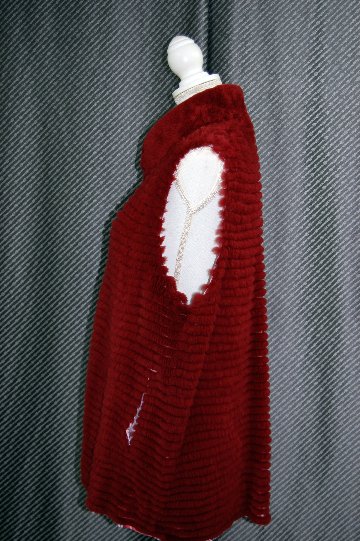 ヌートリアレイヤー　リバーシブルベストの画像