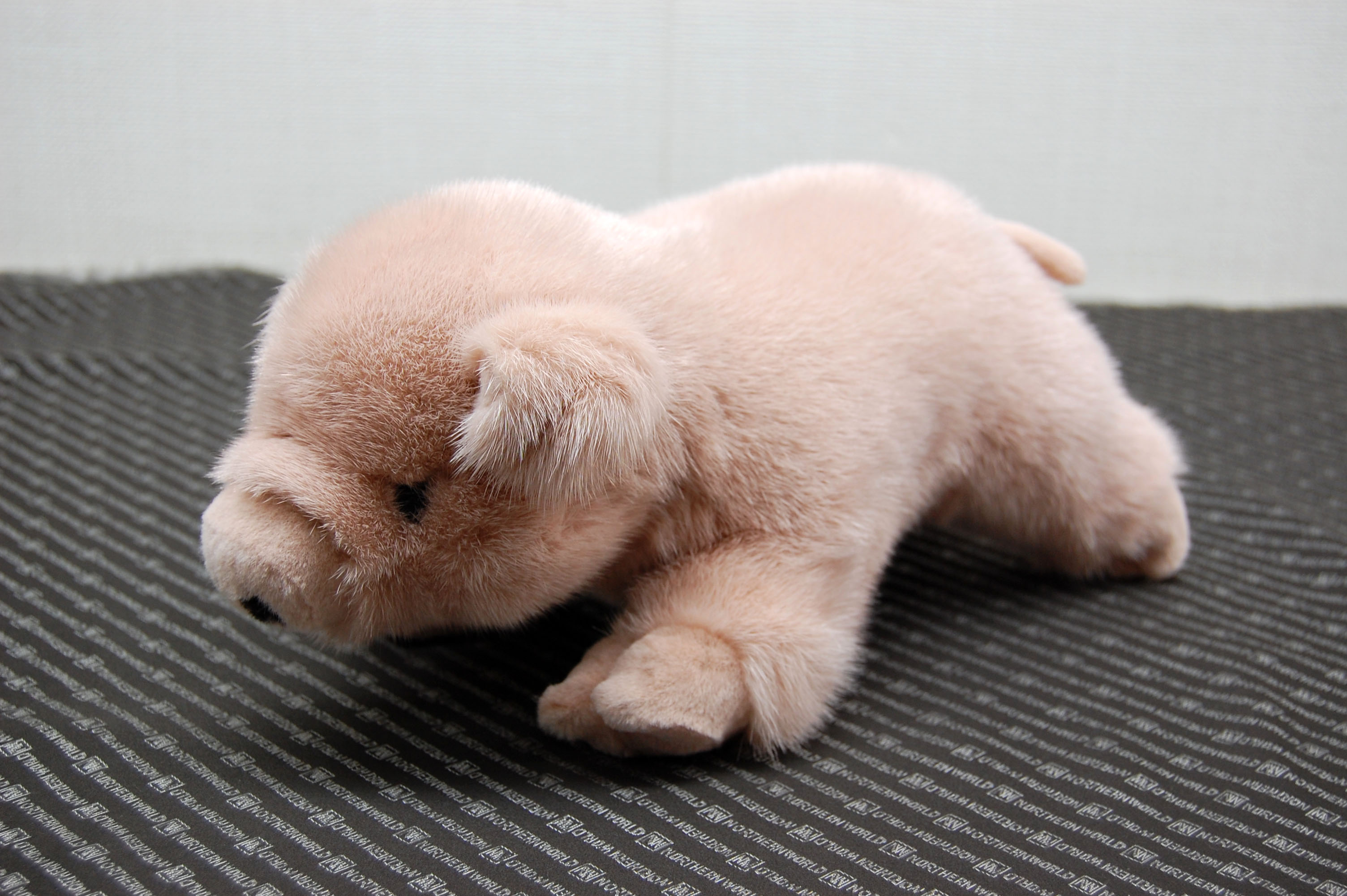 ミンク　ドール（ピグレット）の画像