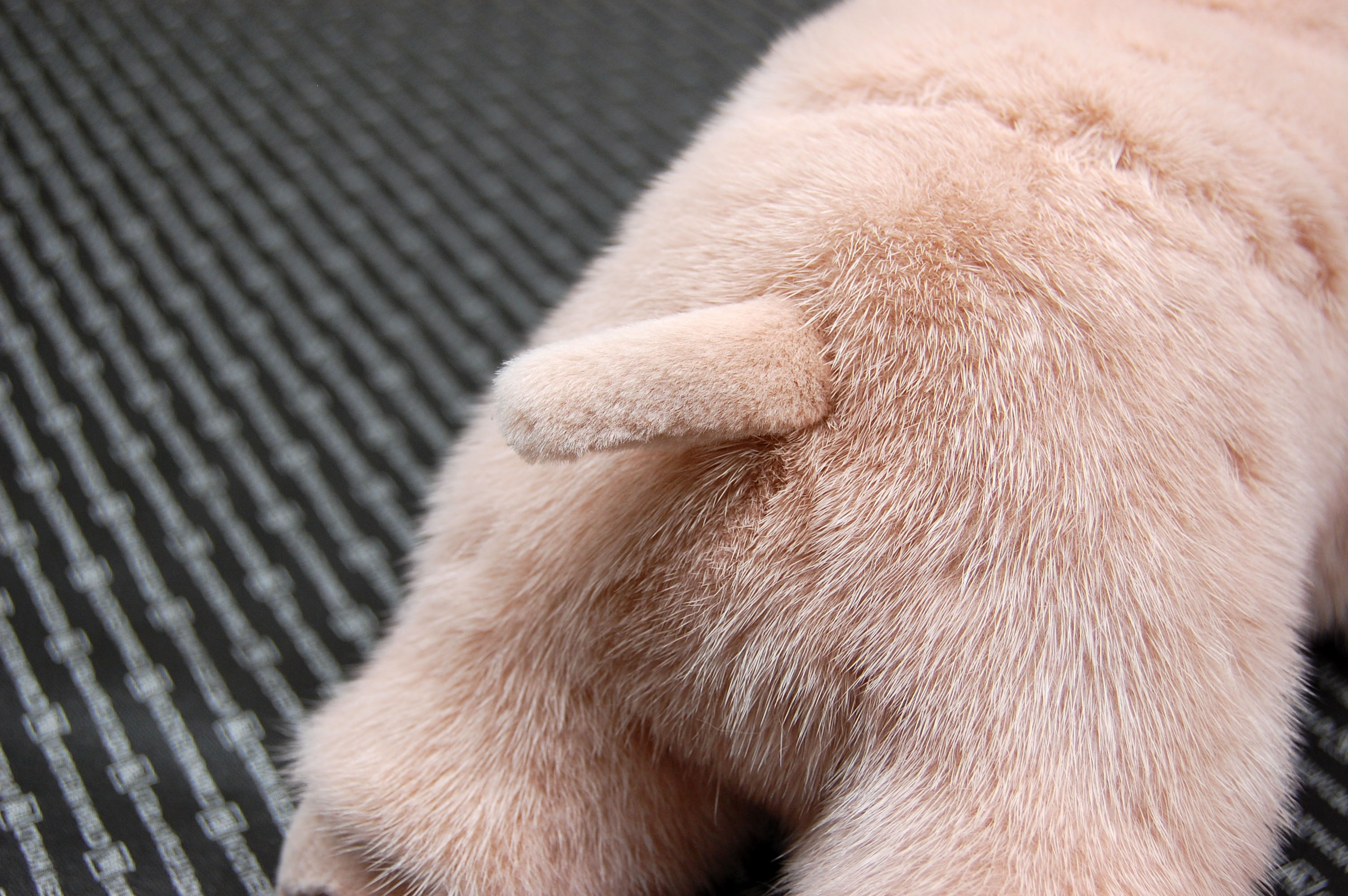 ミンク　ドール（ピグレット）の画像