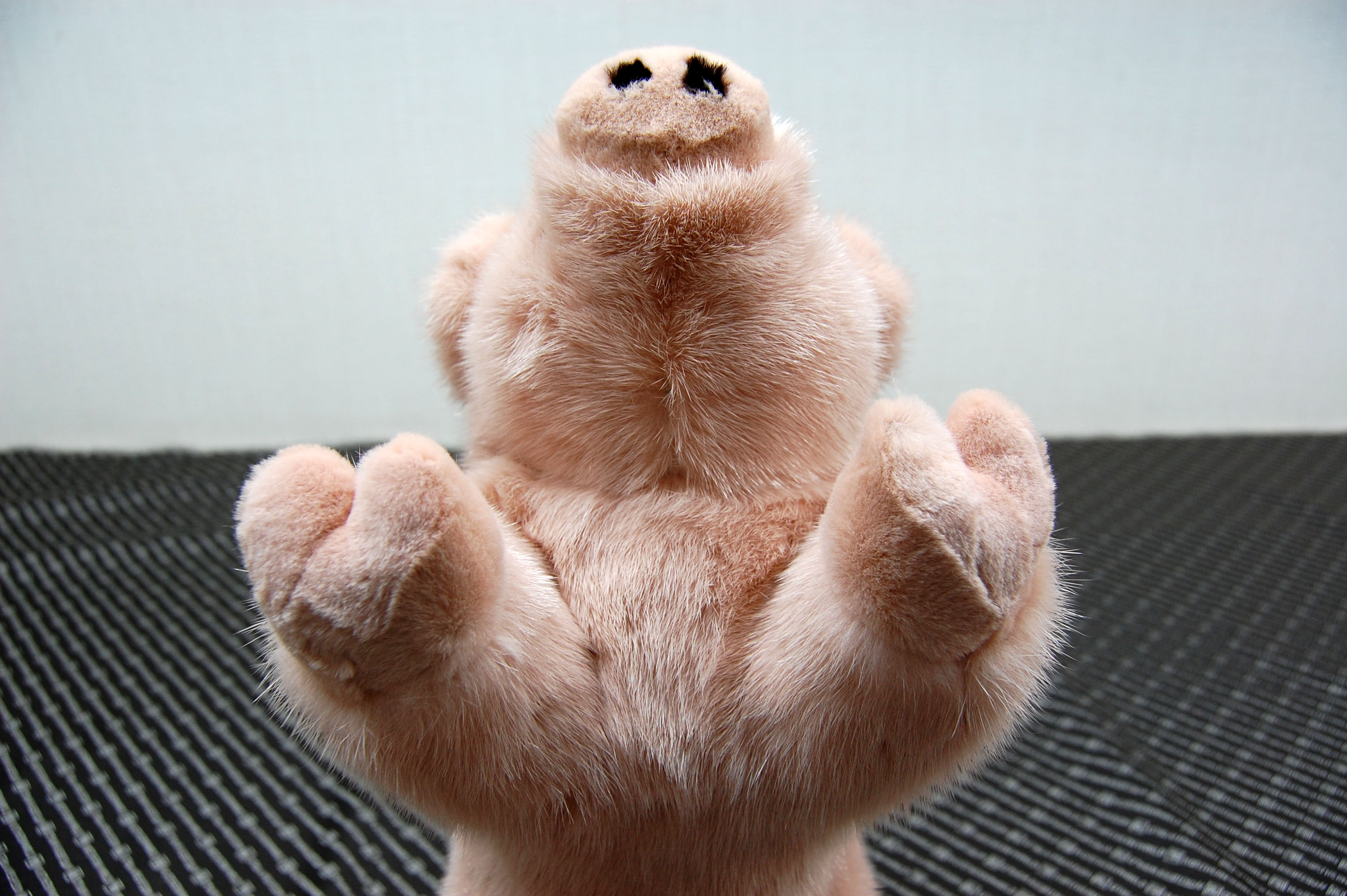 ミンク　ドール（ピグレット）の画像