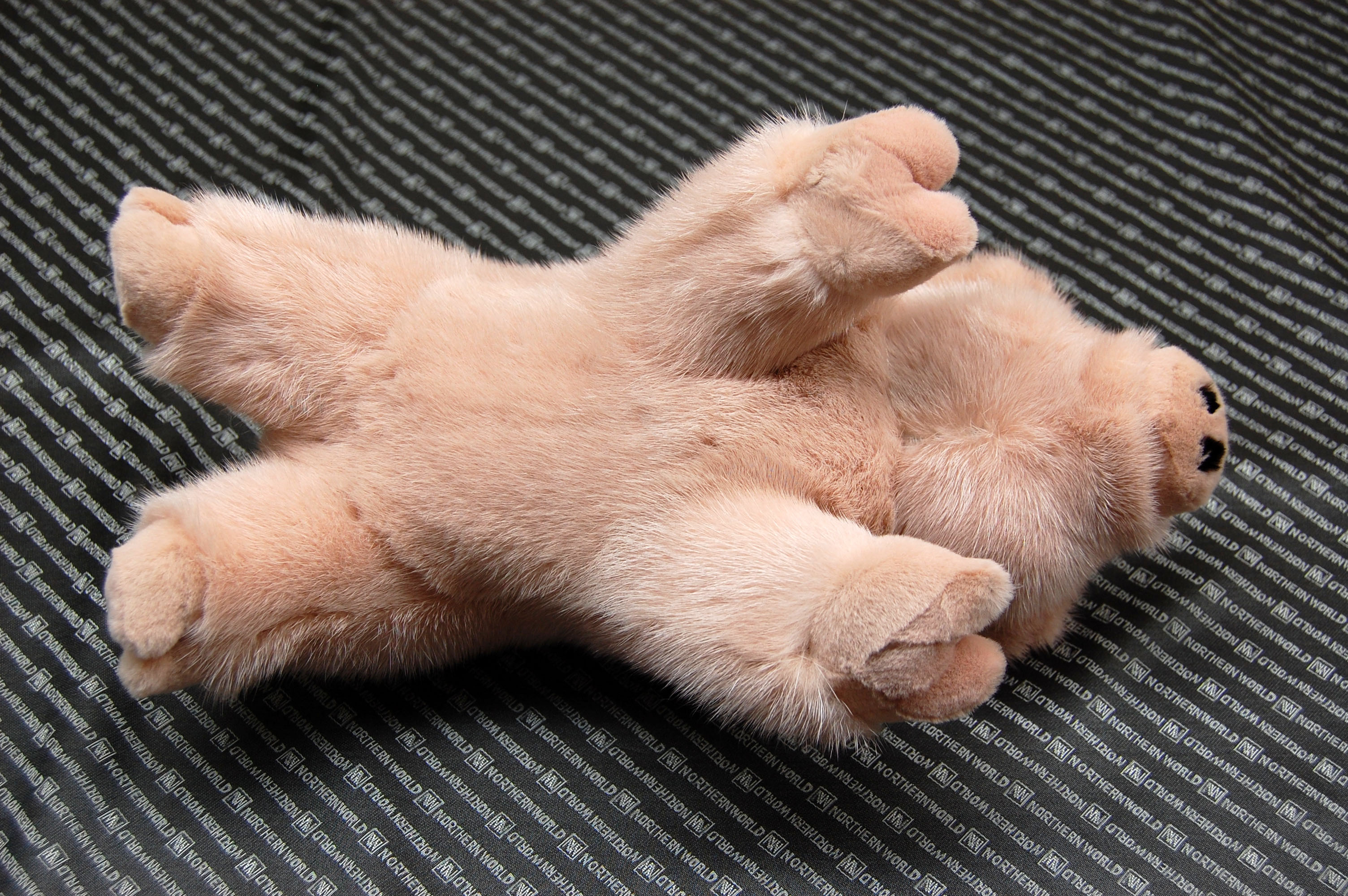 ミンク　ドール（ピグレット）の画像