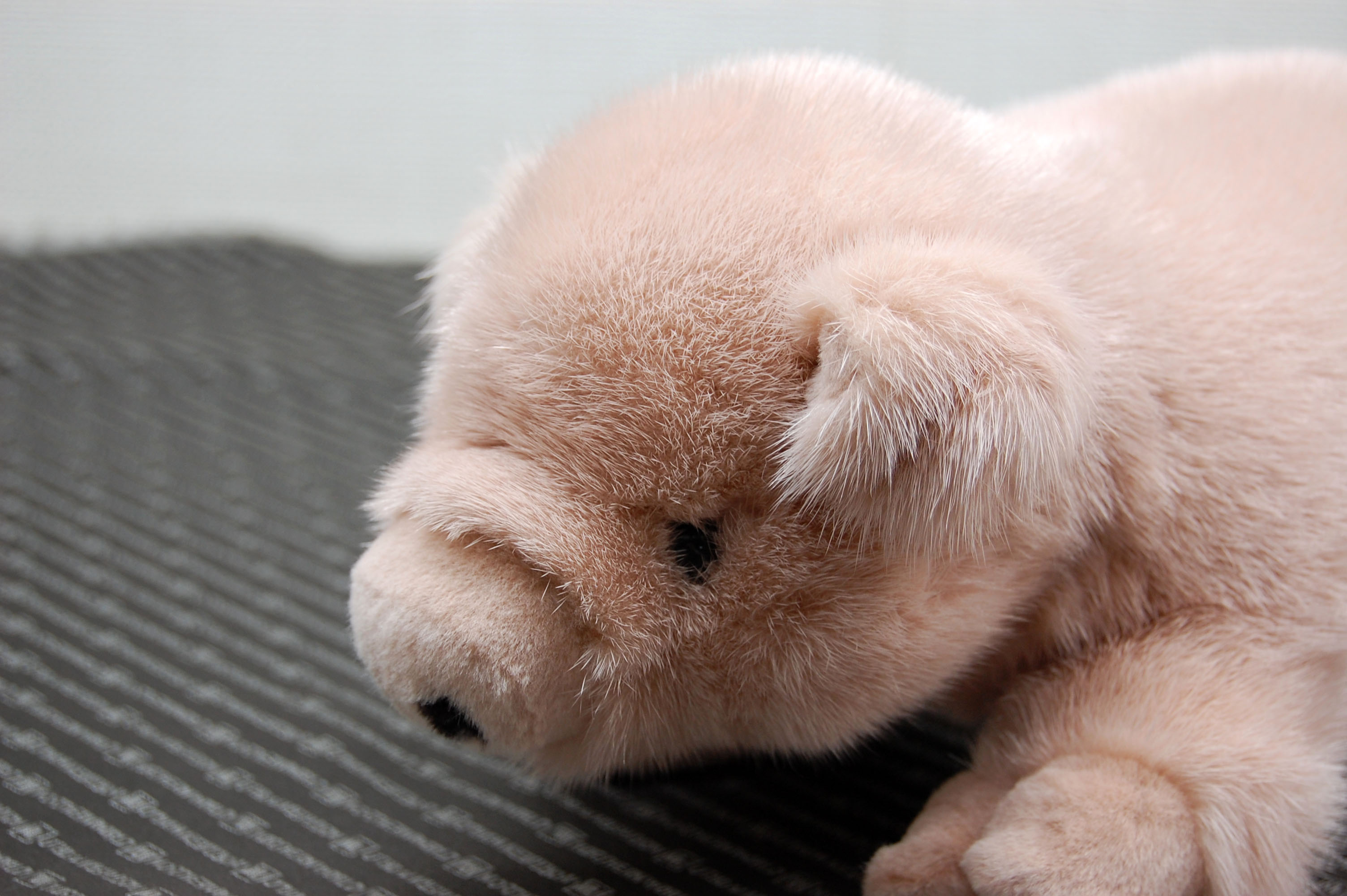 ミンク　ドール（ピグレット）の画像