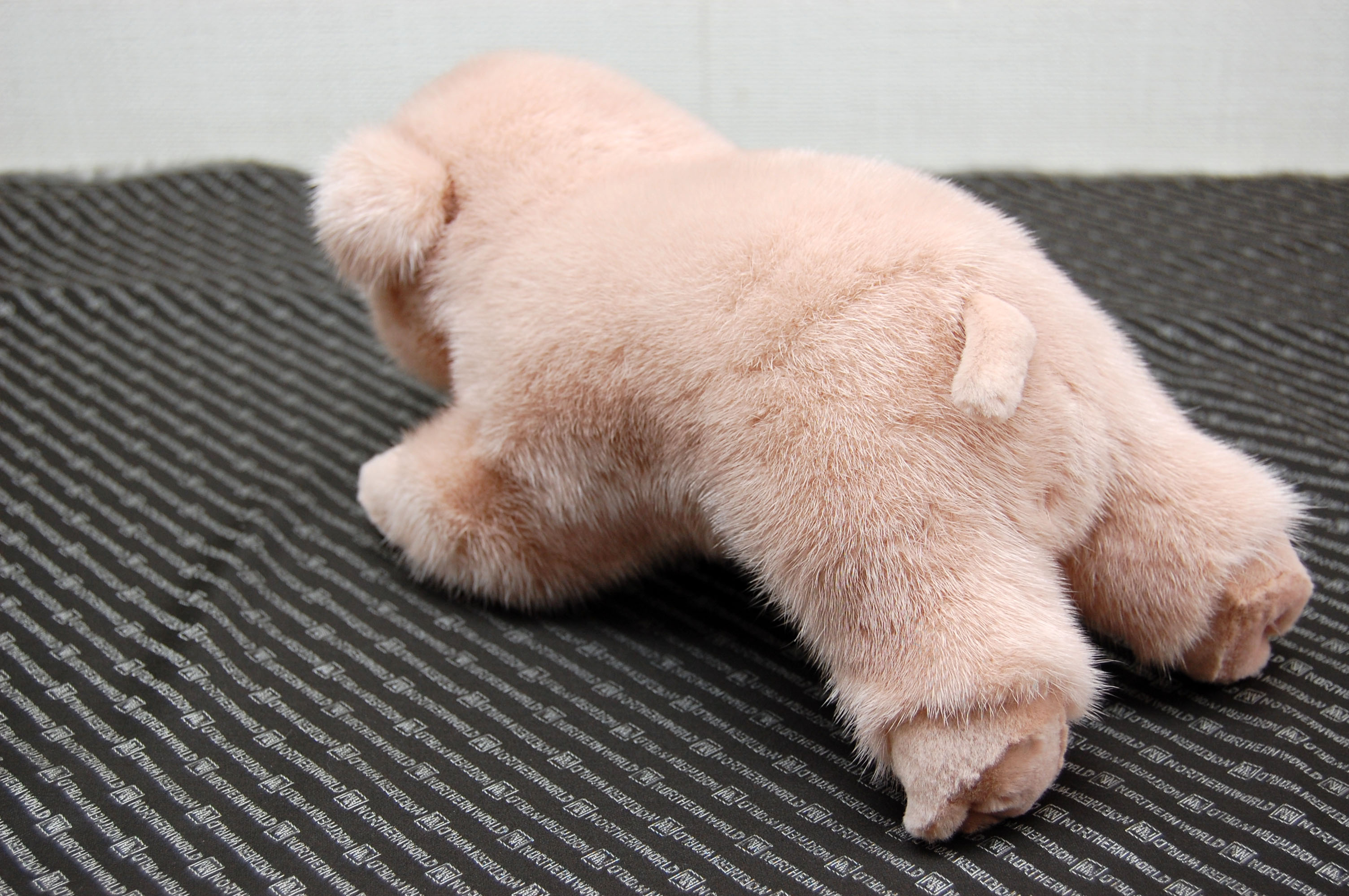 ミンク　ドール（ピグレット）の画像