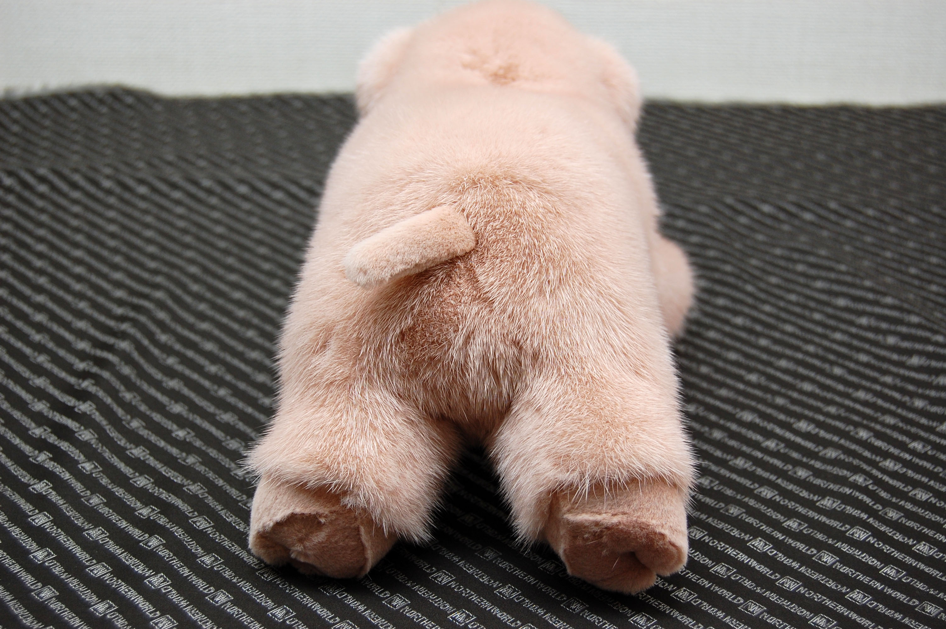 ミンク　ドール（ピグレット）の画像