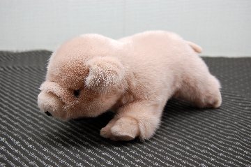 ミンク　ドール（ピグレット）の画像